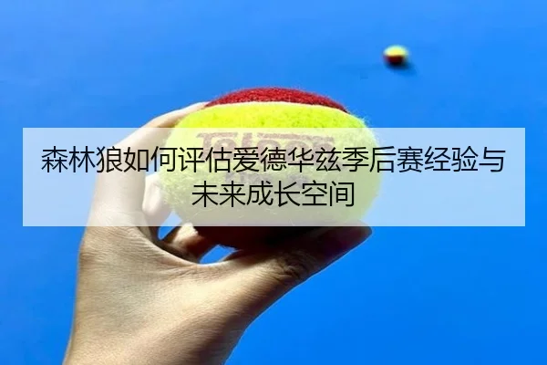 森林狼如何评估爱德华兹季后赛经验与未来成长空间
