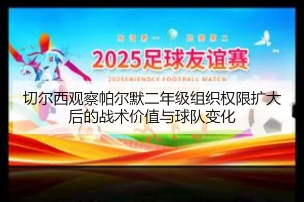 切尔西观察帕尔默二年级组织权限扩大后的战术价值与球队变化